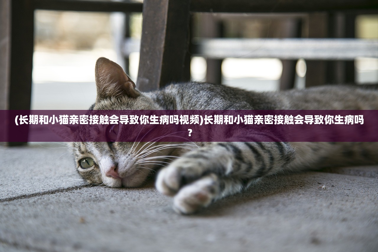 (长期和小猫亲密接触会导致你生病吗视频)长期和小猫亲密接触会导致你生病吗？