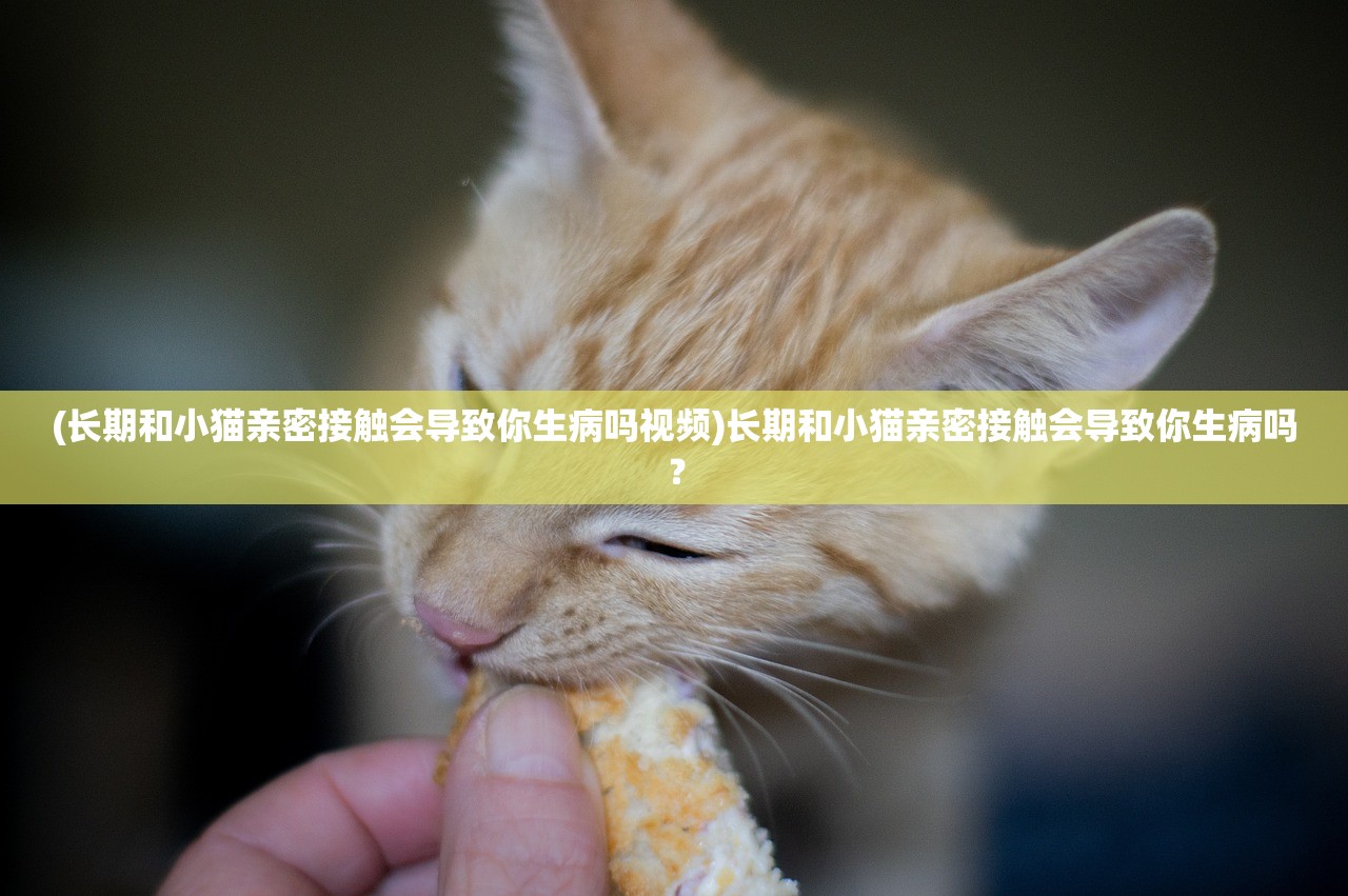 (长期和小猫亲密接触会导致你生病吗视频)长期和小猫亲密接触会导致你生病吗？