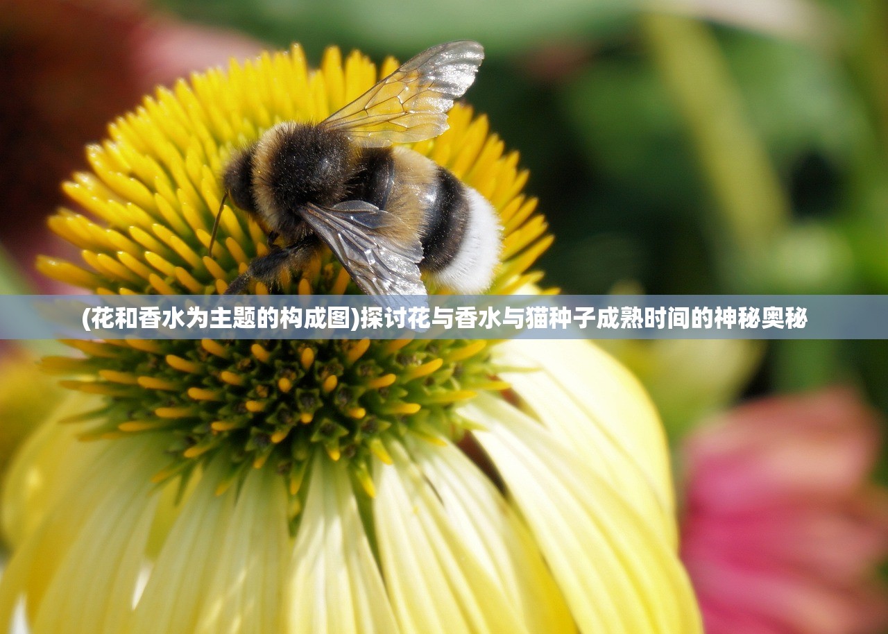 (虚空领主之进化狂潮百度百科)虚空领主之进化狂潮：万千生灵皆为其步步演进，无可阻挡