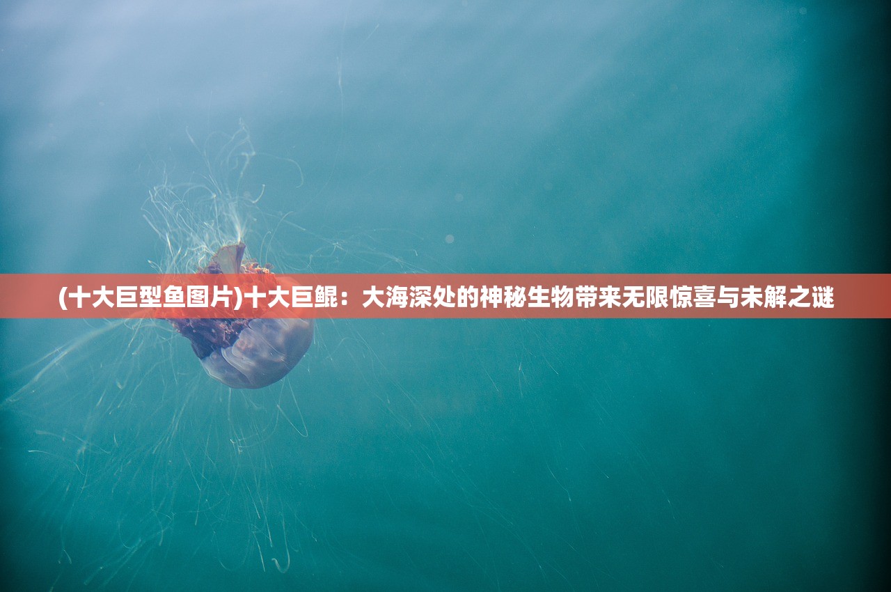 (十大巨型鱼图片)十大巨鲲：大海深处的神秘生物带来无限惊喜与未解之谜