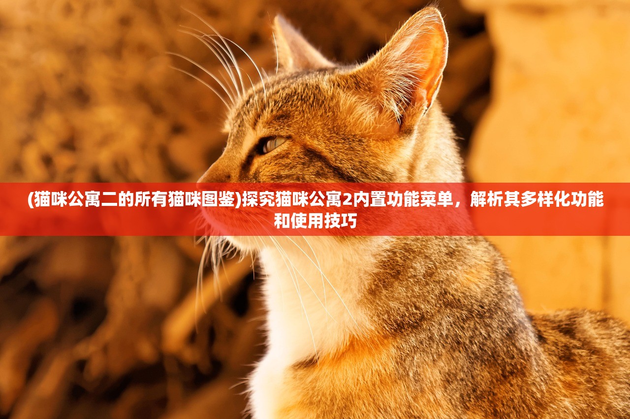 (猫咪公寓二的所有猫咪图鉴)探究猫咪公寓2内置功能菜单，解析其多样化功能和使用技巧