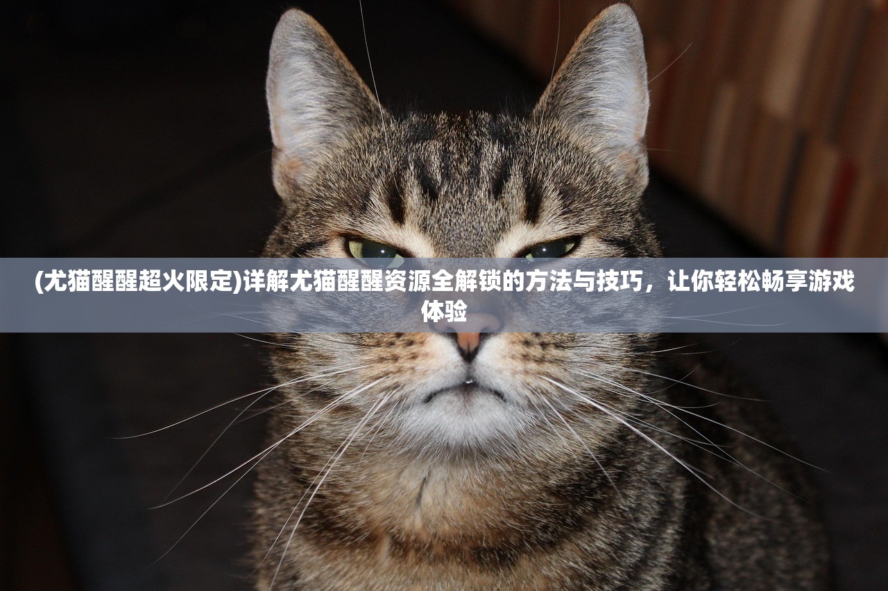 (尤猫醒醒超火限定)详解尤猫醒醒资源全解锁的方法与技巧，让你轻松畅享游戏体验